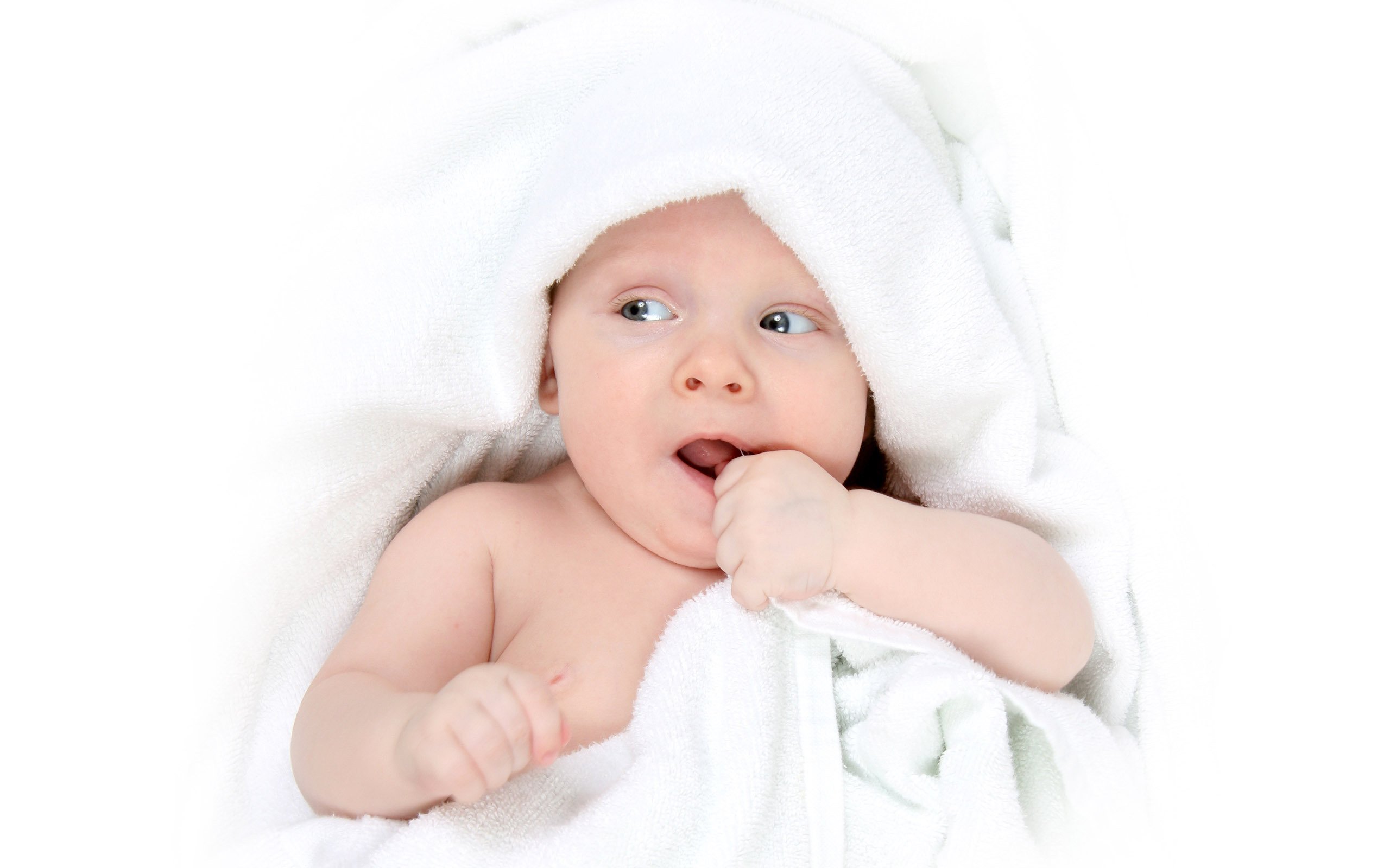 大连供卵代生试管婴儿冻胚养囊胚成功率